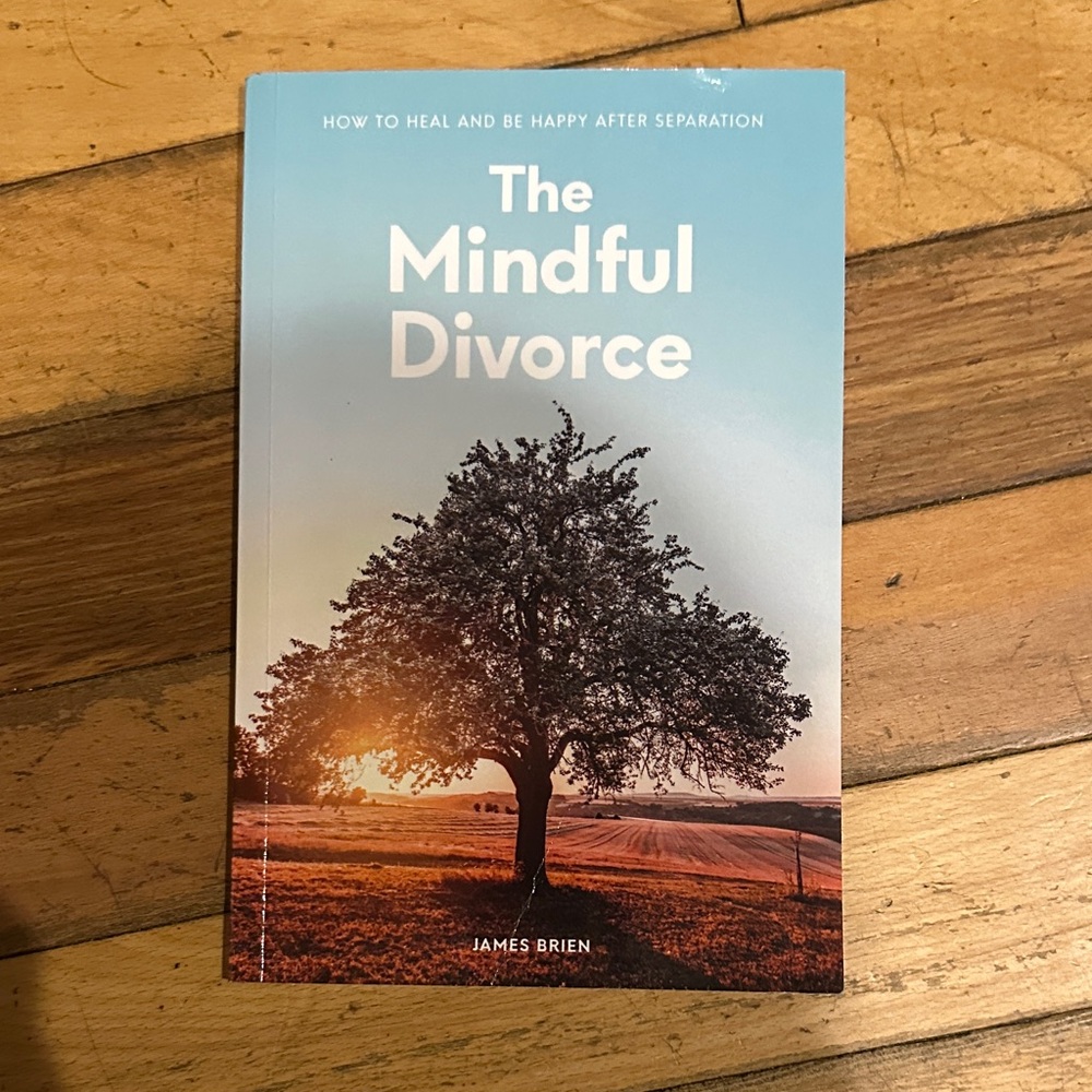 The Mindful Divorce Book